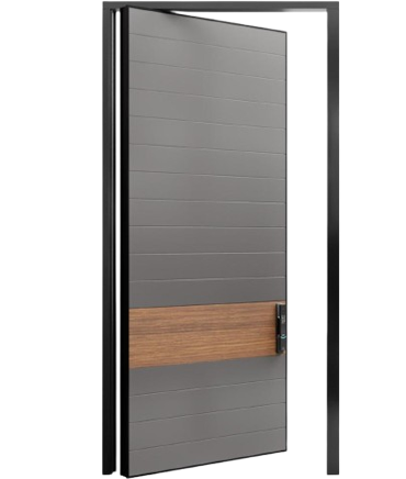 Pivot Door  Steel